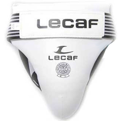 ������ ���ɺ�ȣ��