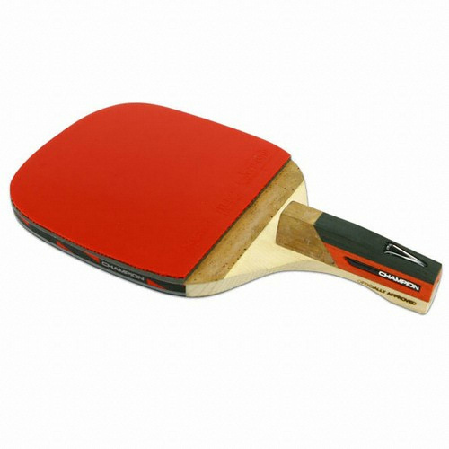 엑시옴 참피온 V 3.5 P_이미지