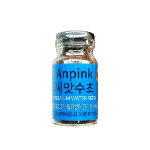 [불명] 안핑크 씨앗수초 S (1개)