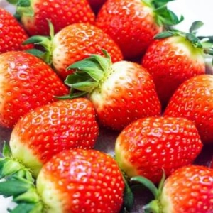 산해직송 설향딸기 특 20~30과 700g [1개]