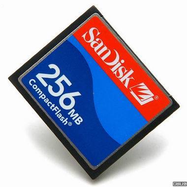 Sandisk CF 소이/정품 (256MB)_이미지