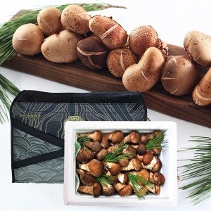 산아래참송이 향채움 국내산 참송이버섯 선물세트 1kg