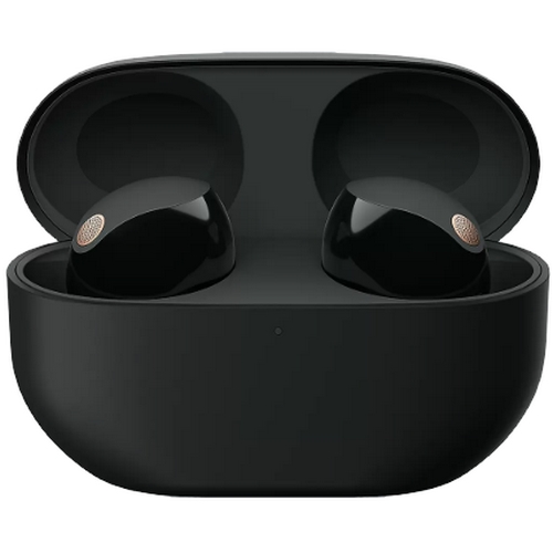 SONY WF-1000XM5 (해외구매)_이미지