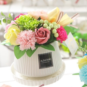 시그니쳐카네이션화분(대)