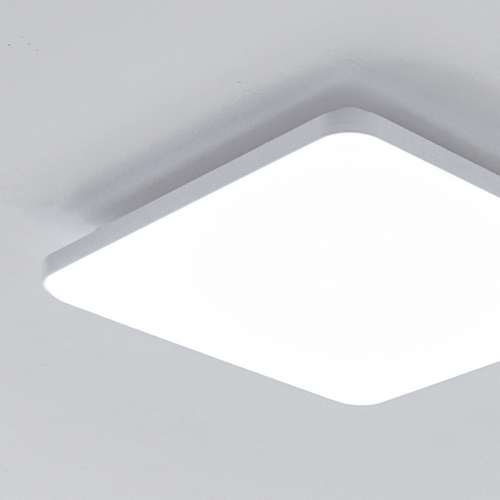 LED 라디언 방등 60W