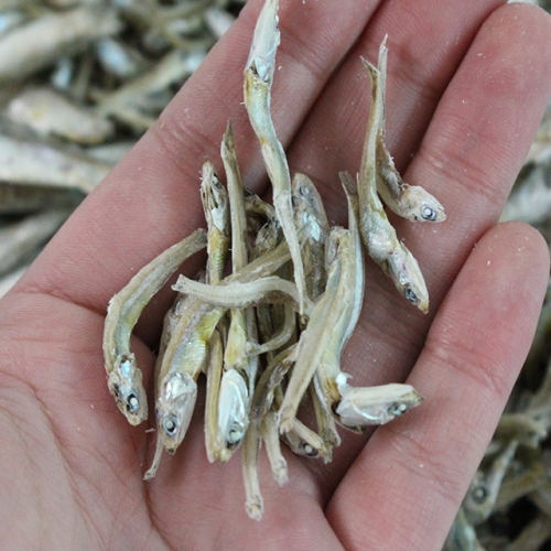 친환경팔도 죽방어장으로 잡은 전통멸치 소멸치 1.5kg