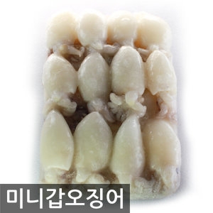 [불명] 미니갑오징어 베이비잇가 손질 해물요리 작은갑오징어