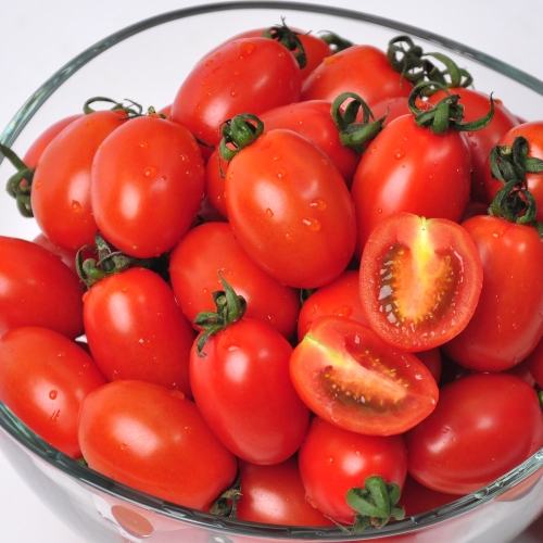 푸르젠 대추 방울토마토 2kg 500g 4팩