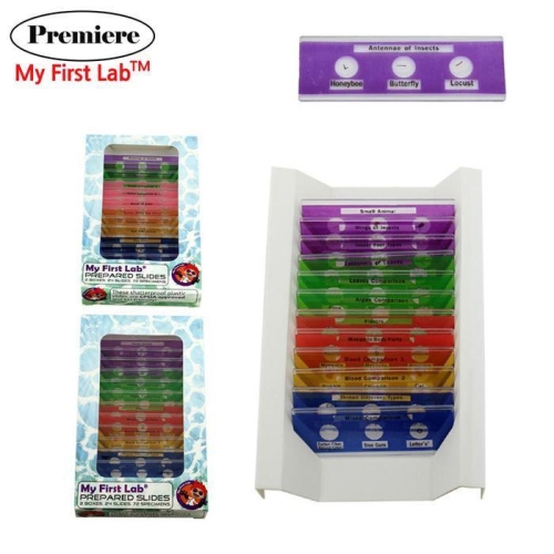 셀러허브 유아동 프리미어 프레파라트 72종 PMPS72_이미지