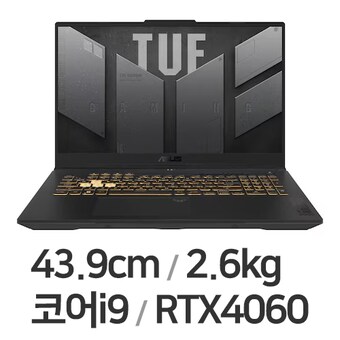ASUS TUF Gaming F17 FX707VV4-LL017 WIN11
