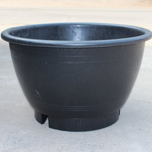 영일산업 블루베리 화분700