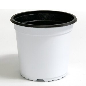 new 이색포트 150 흰색 비닐포트 플라스틱화분 <b>모종</b>