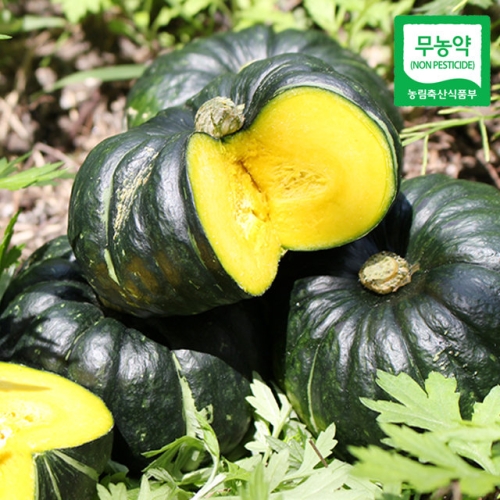 친환경팔도 함평 정대성님의 무농약 햇 미니단호박 밤호박 1kg_이미지