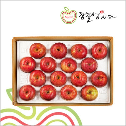 사과 알뜰 특대과 10~16과 5kg