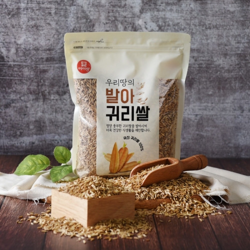 �κ���ǰ ���� �͸��� 800g