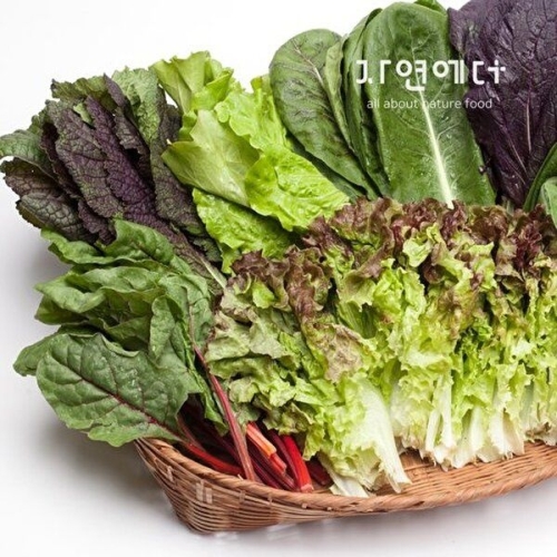 자연에더 충주 친환경 유기농 쌈채소 600g