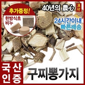  자애인 국내산 꾸지뽕/국산 구찌뽕/꾸찌뽕가지/꾸찌뽕잎/뿌리