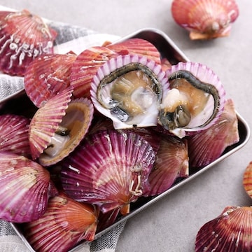 다농이네 통영 홍가리비 28미내외 1kg (1개)