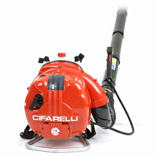 치파랠리 BL6S_이미지