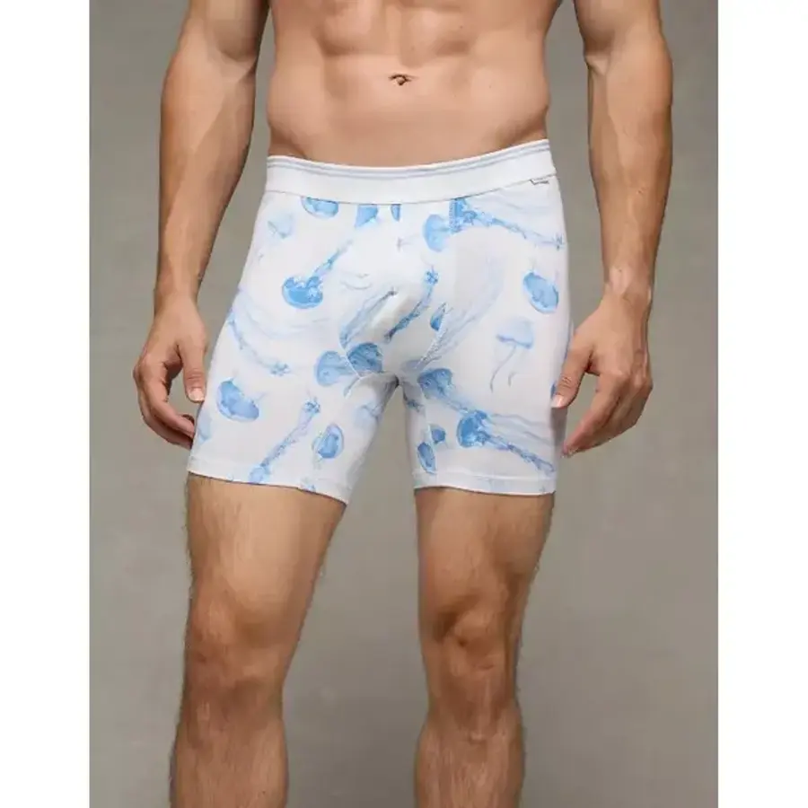  아메리칸이글 남성 드로즈 팬티 AEO 6 Ultra Soft 박서 브리프 American Eagle 008032