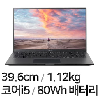 LG전자 2022 그램15 15Z95P-GA5LK