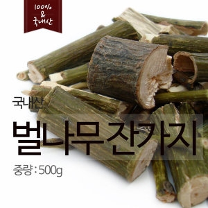 [불명] 벌나무/산청목_이미지