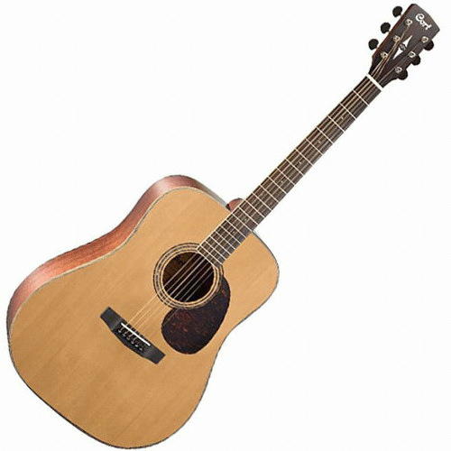 ��Ʈ Earth100 NAT (����)