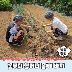 오노마 ONM 꽃무늬 할머니 몸빼 바지 12074598