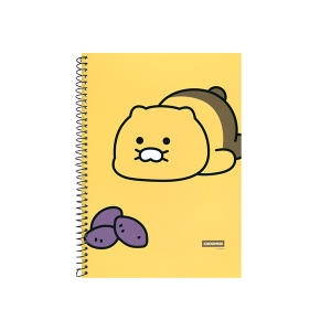 춘식이 스프링 연습장