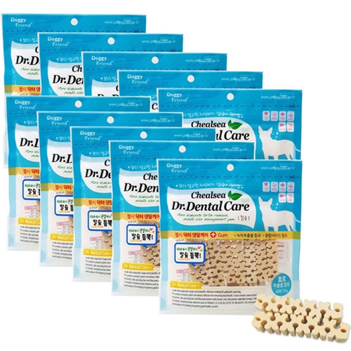도기프렌드 첼시 닥터 덴탈케어 칼슘 100g (10개)_이미지