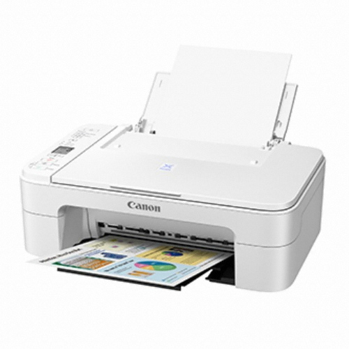Canon 이코노믹 잉크 E3195 (기본잉크)_이미지