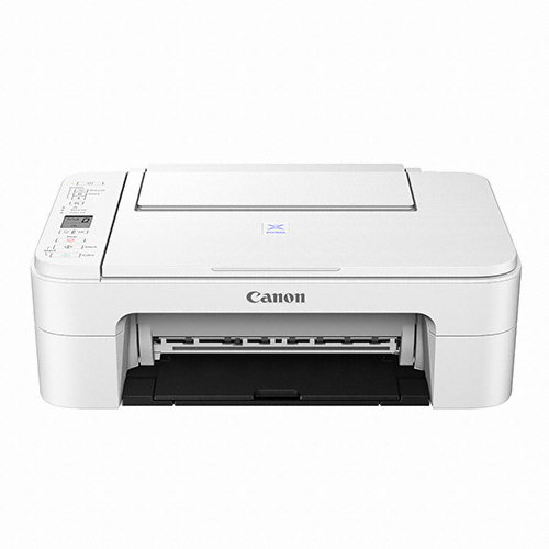 Canon 이코노믹 잉크 E3195