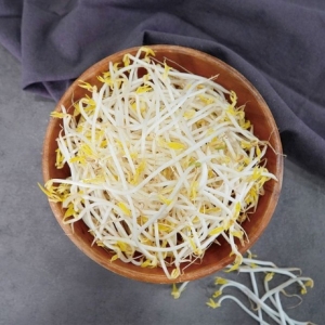 농부마음 천연암반수로 키운 숙주나물 2kg