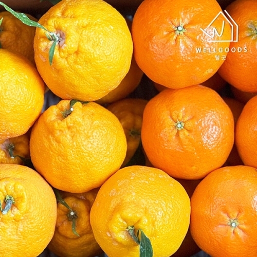 ���� �Ѷ�� ������ ȥ�� �߰� 8~10������ 2kg