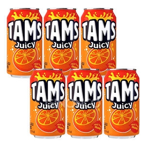 롯데칠성음료 탐스 쥬시 오렌지 355ml (6개)