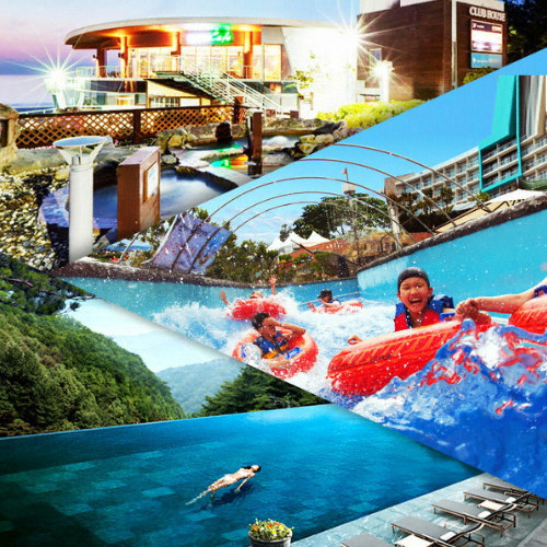 �Դ��� ���� ���ö� ������ũ ���� �̿�� (�泲)