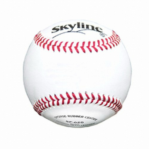 스카이라인 SF-020이미지입니다. 누르면 해당 게시물로 새창이동합니다.