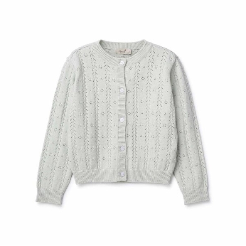 �丮���� ��ī�ô�Ʈ����� P2311K461-T