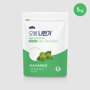 오붐 나한가 설탕대체 입 나한과 몽크프루트 1kg (1개)