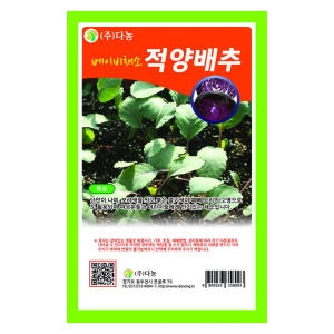 베이비(샐러드)적양배추씨앗 30g