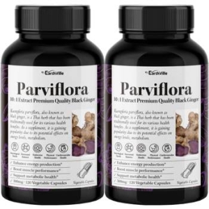 어스빌 파비플로라 흑생강 블랙진저 500mg 120캡슐 (2개)