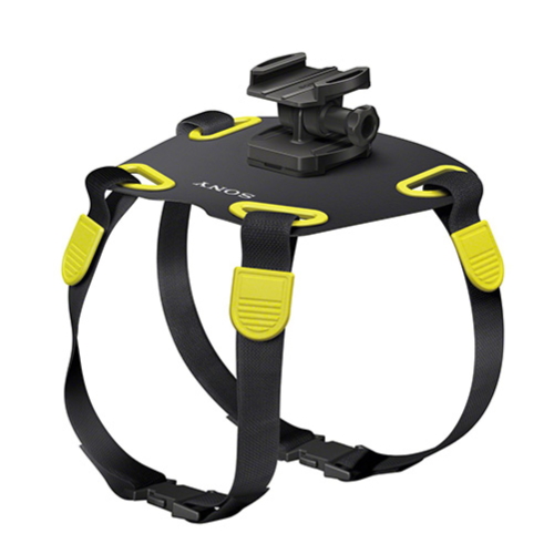 AKA-DM1 강아지 마운트