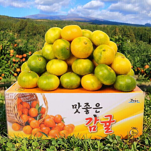푸드대통령 제주직송 서귀포 극조생<b>감귤</b> S-2S 4.5kg