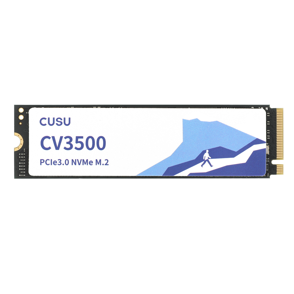 TWSC CUSU CV3500 M.2 NVMe (256GB)