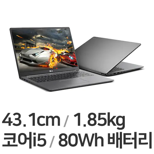 LG전자 2021 울트라PC 17U70P-GP50ML (SSD 256GB)
