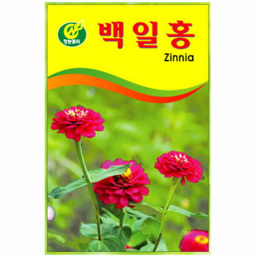 청농 백일홍 씨앗(100g)