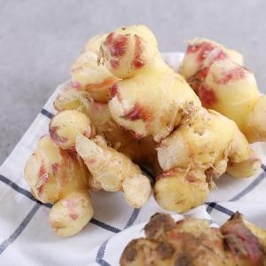 다농이네 봉동 생강 24년 햇 세척생강 1kg (1개)_이미지