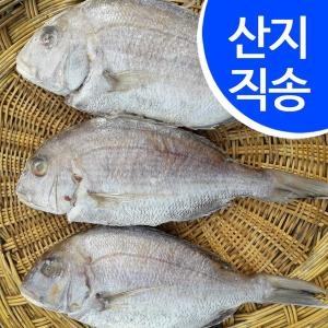 국내산 반건조 도미 2kg 4마리 30cm/마리 /군산산지 직배송