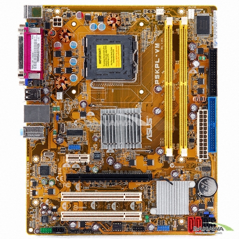 ASUS P5KPL-VM STCOM