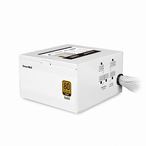 GreatWall E650 FROZEN 80PLUS골드 모듈러